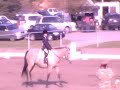 Talia and Fiesta at the Amberlea Harvest Horse Show