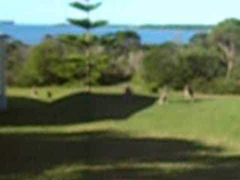 Jervis Bay - South Coast