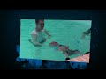 Click here to watch this video Preston at Swim
