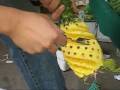 videos de Mathematik auf der Ananas (großes Format)