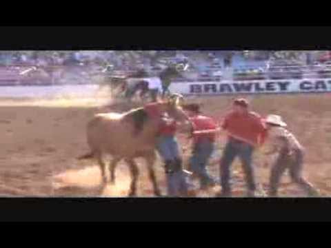 horse racing