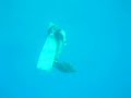 Apnea - Discesa a -25 metri Apnea - Discesa a -25 metri