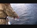 ティップランエギング講座