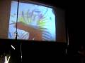 videos de Live painting with Live music in Amsterdam#3