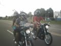 domigao da galera.