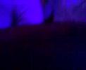 Dinner Dance (Palladium CroWn CaSino)