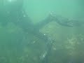 Underwater Ft Wetherill Rhode Island