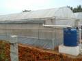 videos de Polyhouse- Rainwater harvesting