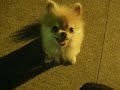 DSCN7517