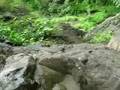 BheemaShankar Trek Seedhi (Ladder) No. 2 Prelude