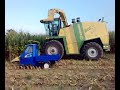 El me socio Roby con la sua ape marchiata New Holland T50 sotto la trincia ............