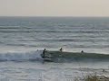 videos Surf