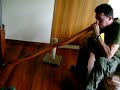 phil on his digeridoo