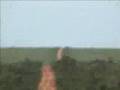 Jalapão - Tocantins - Brasil Parte II