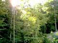 Almost Heaven West Virginia