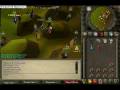 videos de clip0007.avi