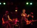 Anistia - Sigo o som ( Forfun cover) - Hangar