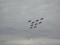 snowbirds