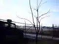 TREX600 RC Heli Cam