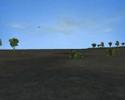 Toalar volando