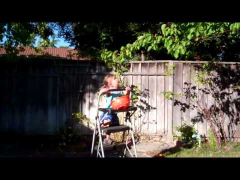 how to harvest apricots