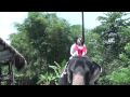 Elephant Safari in Sri Lanka Part 1