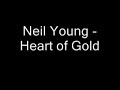 Neil Young  Drivin Thunder - Young Neil