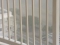 Hurricane approaching