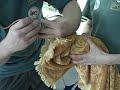 Rescue & Rehab of Algae Bloom Birds