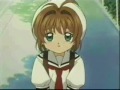 card captor sakura   i cant help falling in love with you