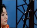 chinese music   erhu solo   yu bei ballad