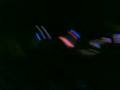 videos de 16112008(005)