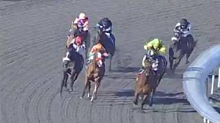HnR 's Kindle wins ALO Hollywood Park Mike Smith Up