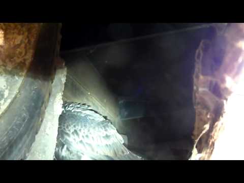 See video