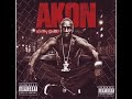 Akon-Never Gonna Get Feat. Sean Biggs
