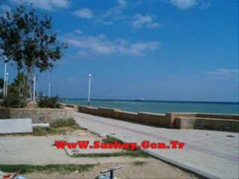 sarköy