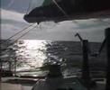 Whitsundays / Australia / South Side Story