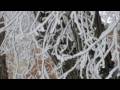 videos de Winter Wonderland 12-17-08