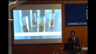 A Vespa velutina en Galicia: a necesidade de avances no campo cient�fico