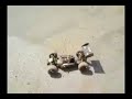 rc xlb xtm rc car 