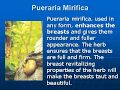 Breast Enlargement Pills - Breast Nutrition & Support