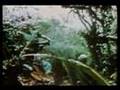 Contact Ambush