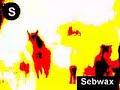 SHAKIRA versus 2 UNLIMITED (mashup video clip by sebwax)