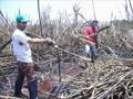 videos de JOÃO CARLOS E RENAN / DUPLA SERTANEJA E CORTADORES DE CANA