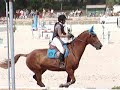 N�fou � Lamotte