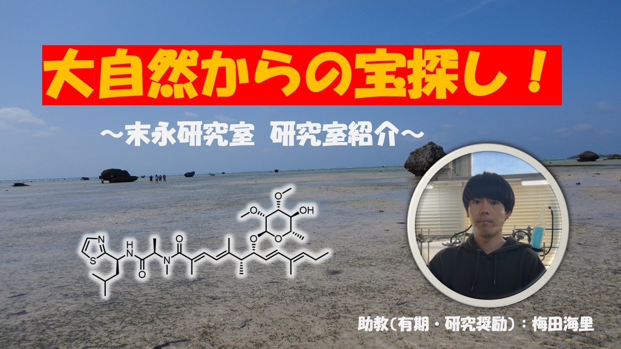 大自然からの宝探し！～末永研究室紹介動画～