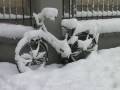 c6.tv -  Milano sotto la neve: inadeguata la gestione emergenza