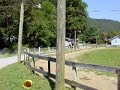 Patch Speed Racking Pacing Standardbred