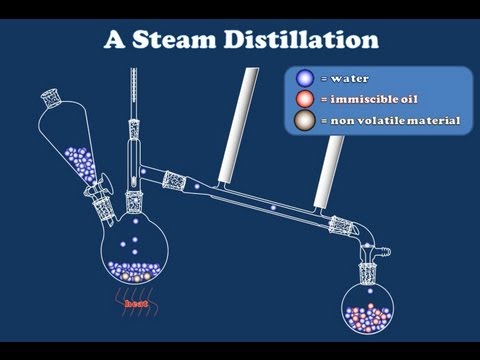 how to isolate eugenol