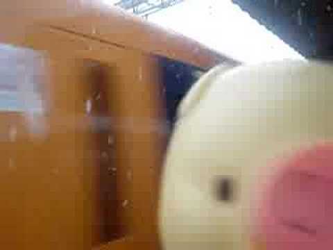 A day when it snows. 　ぬぶうさんと近鉄特急